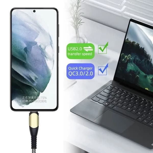 Hurtigoplader 25W - kompatibel med iPhone - USB-C - 60W kabel - Sort - 1 meter - e.f.connection Svart