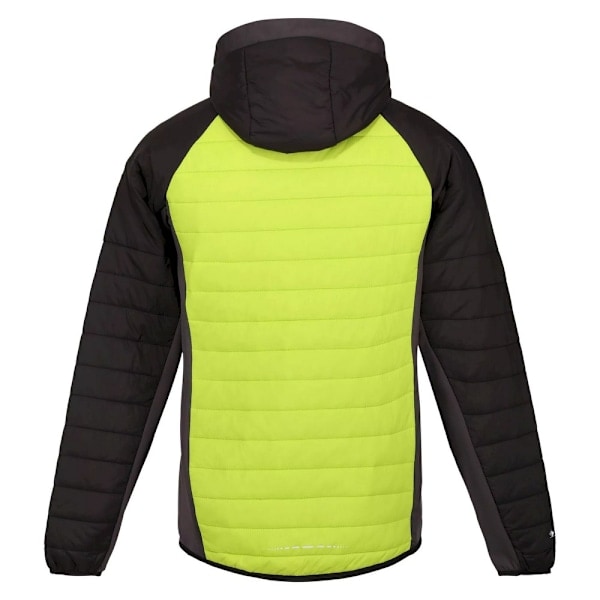 Regatta Trutton softshell-hettegenser for menn S Bright Kiwi/Bla Bright Kiwi/Black S
