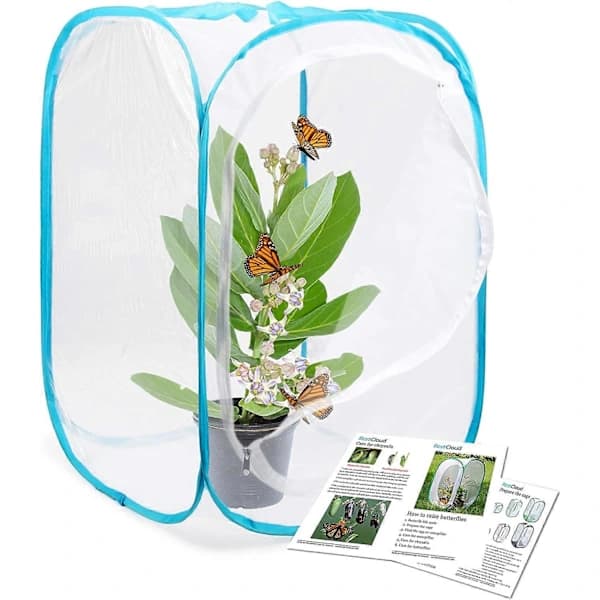 Hyönteis- ja perhosasumusterraario Pop-up 61 cm korkea