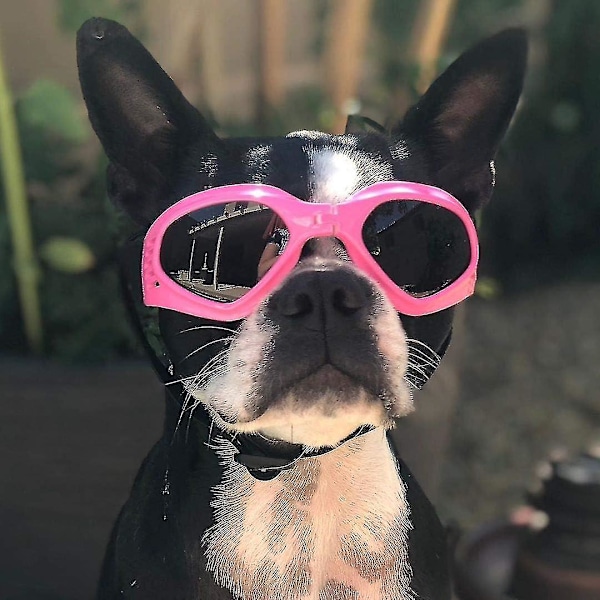 Hunde Goggles - UV-beskyttelse - Justerbar - Øyebeskyttelse for små til mellomstore raser - Rosa