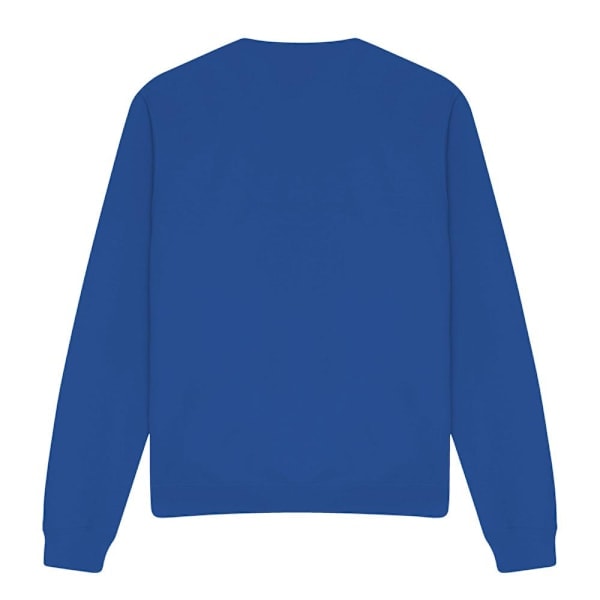 Teenage Mutant Ninja Turtles Unisex Vuxen Arcade Fight Sweatshirt Kungsblå M