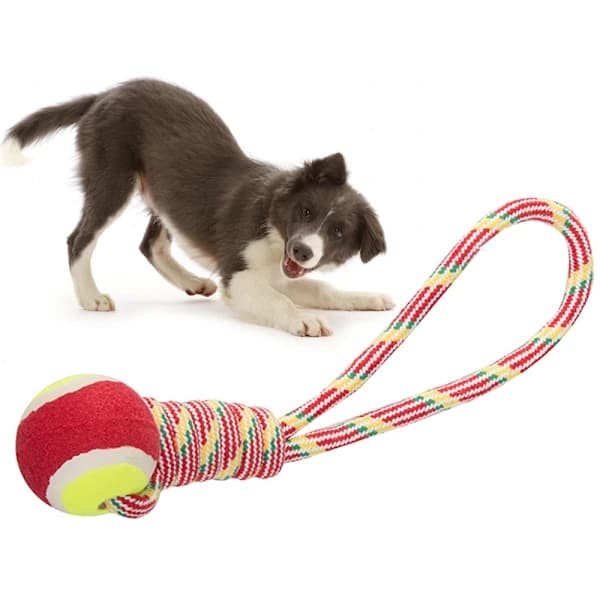 Dragleksak med boll / Kampleksak för Hund - Hundleksak[CO]