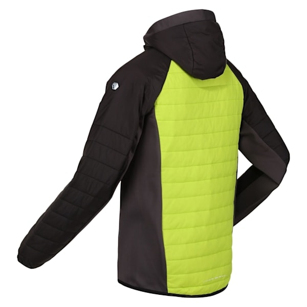 Regatta Trutton softshell-hettegenser for menn S Bright Kiwi/Bla Bright Kiwi/Black S