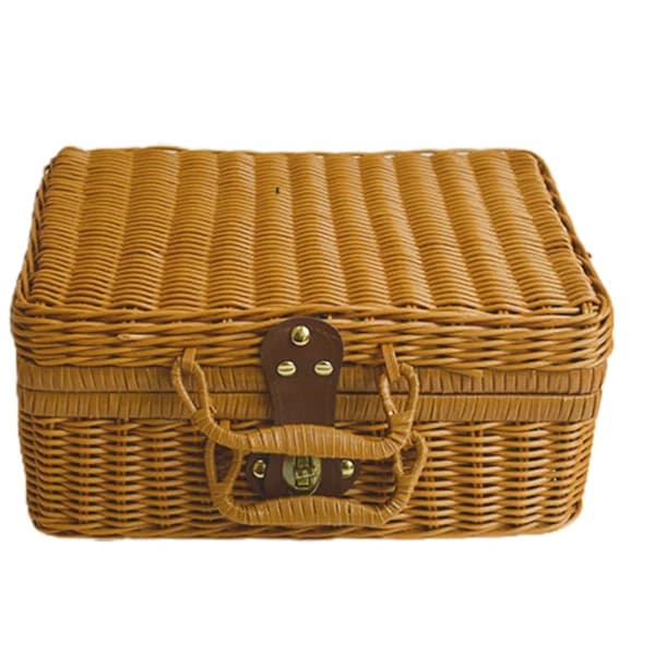 Picknickkorg Stor Organizer Behållare Förvaringskorg med Lock[co]