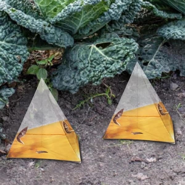 Snigel- och snäckfälla för trädgården, 20-pack öl-snigelfälla, miljövänlig, enkel installation_RY