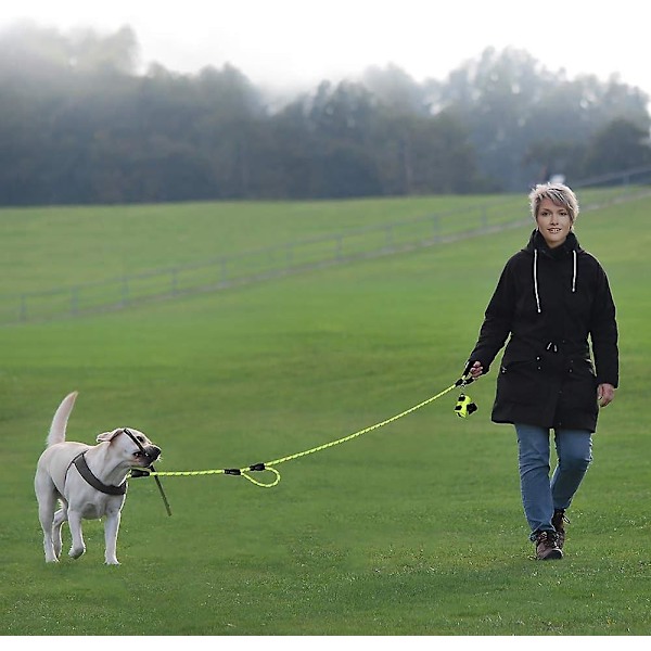 Sterkt tau hundesnor 6 fot lang med to polstrede håndtak, tungt, reflekterende dobbelthåndtak treningshundesnor for store hunder eller mellomstore hunder (grønn)