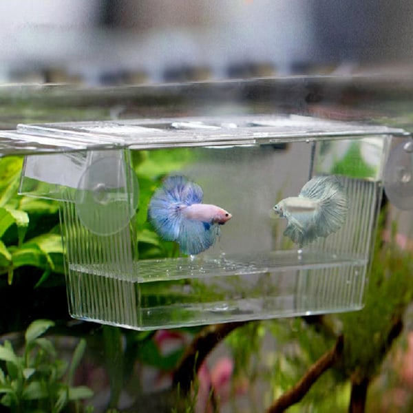 Fish Tank Avel Isolering Box