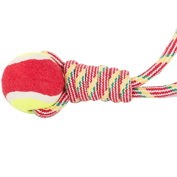 Dragleksak med boll / Kampleksak för Hund - Hundleksak[CO]