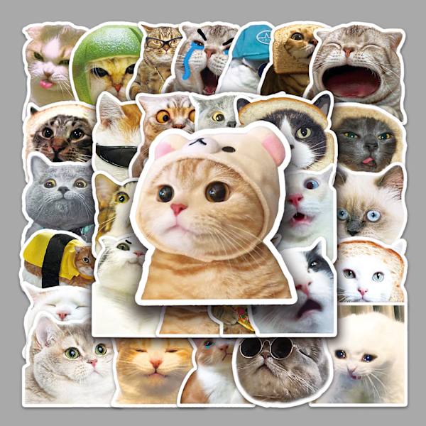 50 stk. Cat Meme-klistermærker, sjove katteklistermærker, søde katteklistermærker sjove kattememes, kattevinyl vandtætte klistermærker til voksne, teenagere