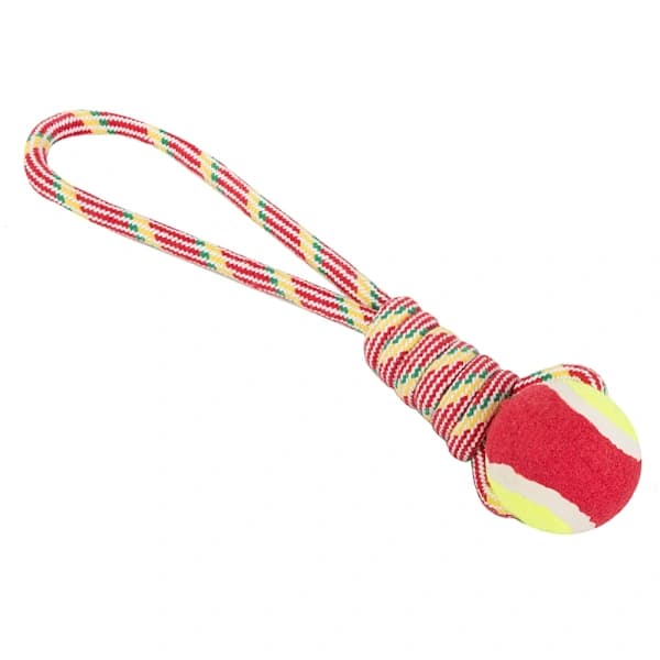 Dragleksak med boll / Kampleksak för Hund - Hundleksak[CO]
