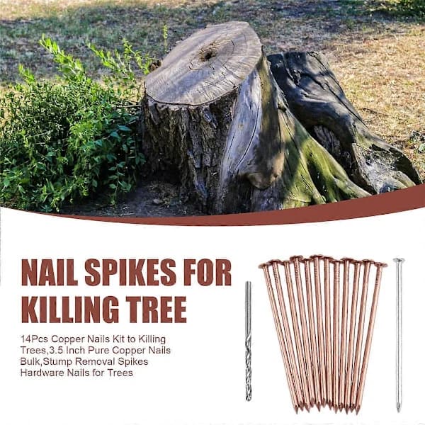 Kopparspiksett for å drepe trær, 8,9 cm ren kobber spiker bulk[co]