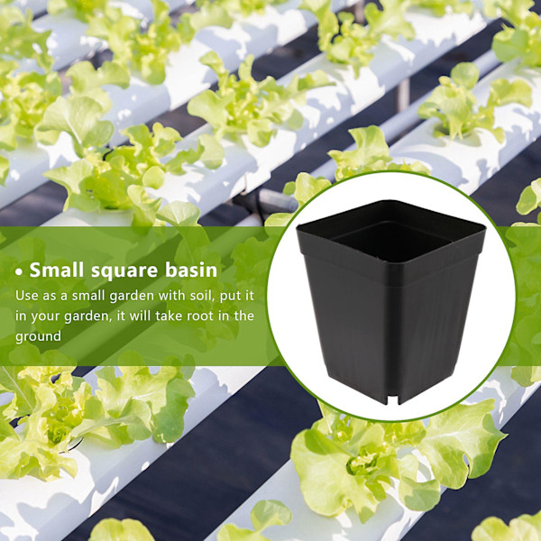 50 st Mini Plast Blomkrukor För Växtkammare 7cm X 7cm - Svart
