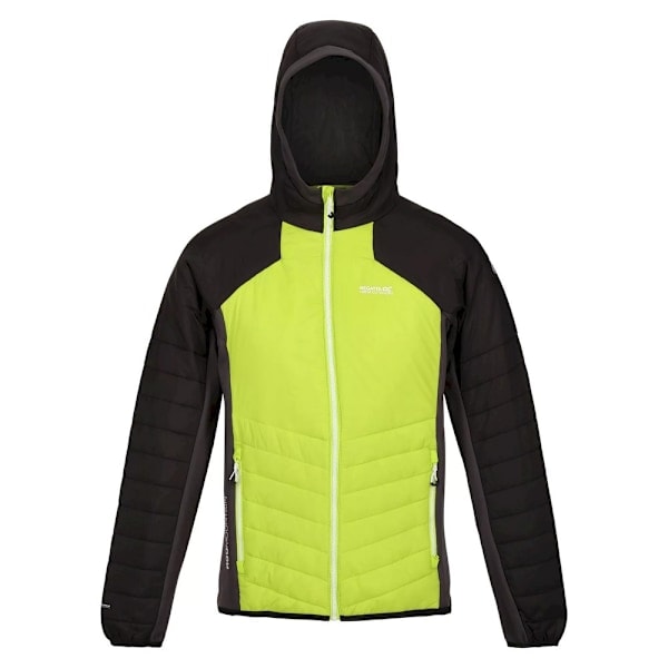 Regatta Trutton softshell hættetrøje til mænd S Bright Kiwi/Bla Bright Kiwi/Black S