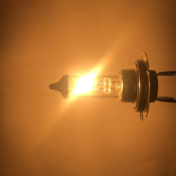 10 st 55w H7 Halogenlampor Bil Dimljus Halogenlampa Varm Ljus Auto Tillbehör Universal Hea