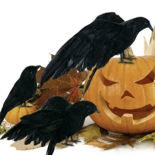 UnderholdningFest & VitserFest & FeiringerHalloweendekorasjon