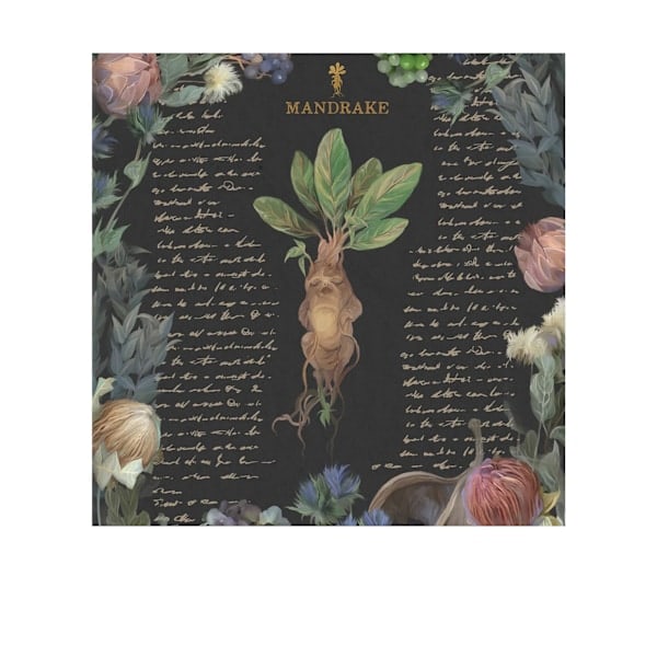 Harry Potter Yume Fantasy -printti 40 cm x 40 cm Svartti Musta 40 cm x 40 cm