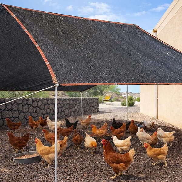 Skyggedug 2x3 m med øjer, 75% solafskærmning HDPE netpresenning UV-resistent til pergola drivhus haveplanter, sort