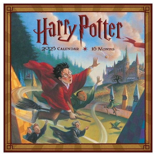 Harry Potter Litterär 2025 Kvadratisk Kalender En Storlek Flerfärgad Multicoloured One Size