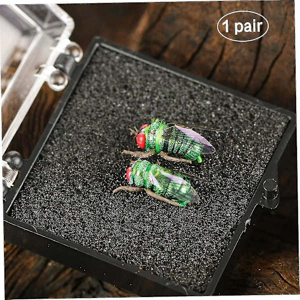 Flygende Flygende Flygende Fly Flies Real Artificial Nymph Worm Bait (grønn 2stk)