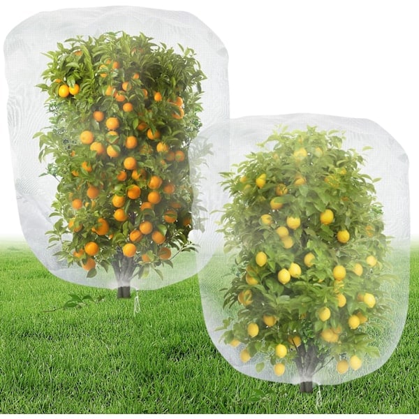 120 x 140 cm fuglenet med snøre, til tomatplantage, plantebeskyttelsesnet, overtræksposer til blåbærgrøntsager.