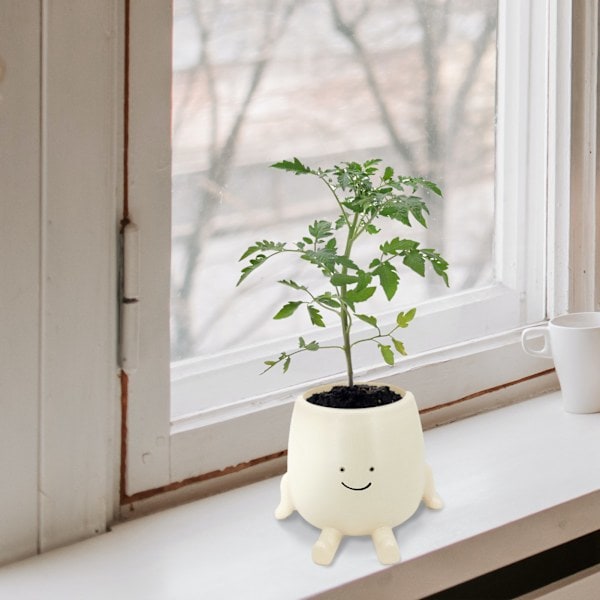 Sittande Blomkruka Söt Ansikte Resin Växter Dekorativ Succulent Blomkruka med Dräneringshål för Trädgård Balkong Kontor Fönsterbräda