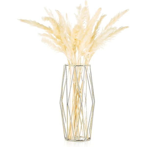 Glasvas Blomma Guld, Modern Liten Vas Pampasgräs Med Geometrisk Metallram