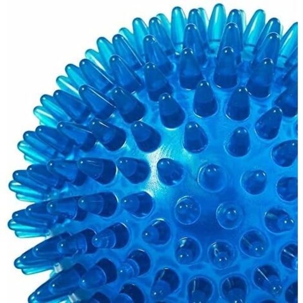 Studsbold af termoplastisk gummi til rengøring af hundetænder (6,5 cm, blå)