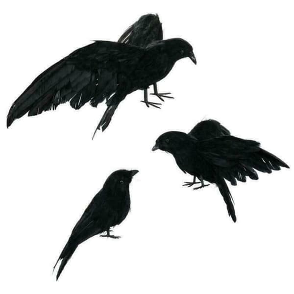 UnderholdningFest & VitserFest & FeiringerHalloweendekorasjon