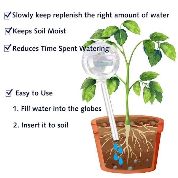 Glasplantevandingskugler, klare regnbuefarvede blomsterselvvandingssystemspidser, automatiske plantevandingsløg