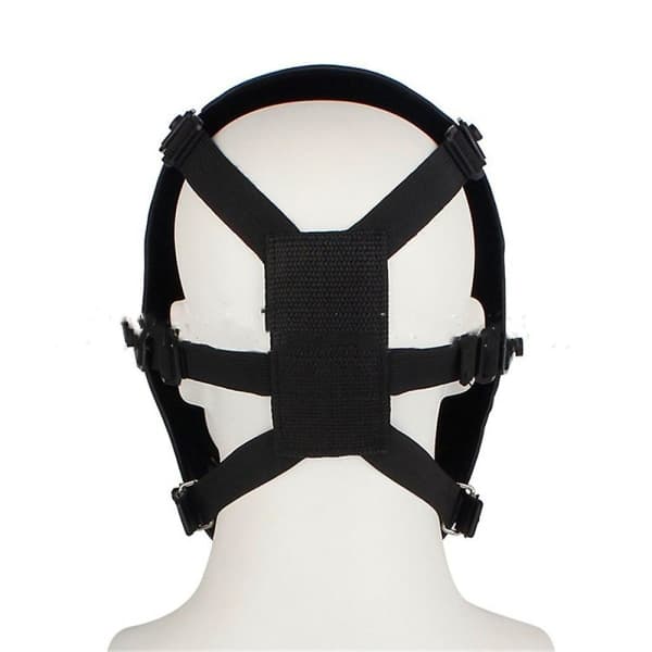UnderholdningMaskeradeKostumerMaskerAnsigtsmaskerSækmasker