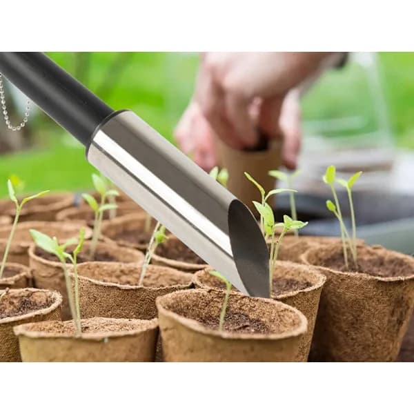Frövinge planteringslökar trädgård plantera sådd åtgärd[CO]