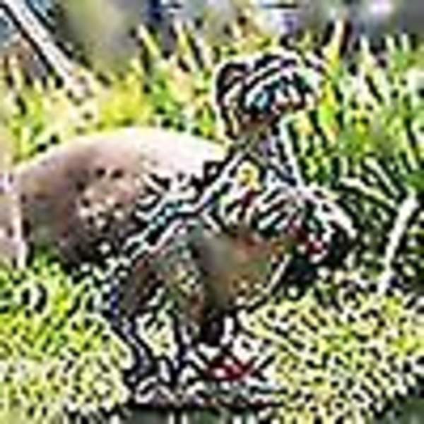 Dinosaur-Nisse Statue Hagefigur Dinosaur Spiser Nisser Hage Utemiljø Dekor,l,1stk