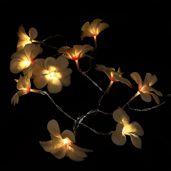 Frangipani ljusslinga konstgjord plumeria blomma fe ljusslingor batteridriven 10 lysdioder, 1. 65m