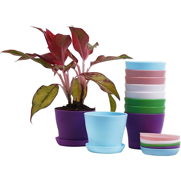 10 st plastplanteror inomhus blomkrukor, miniplanta fröplantor plantskola kruka/plante