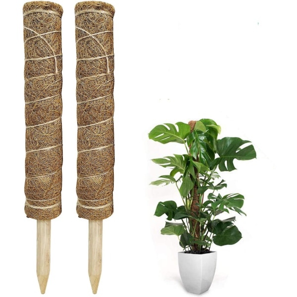 2 stk. mosstok til planter - 40 cm i alt plantepinde til Monstera, Monstera mosstokke til klatreplanter, plantesupport til indendørs potteplanter