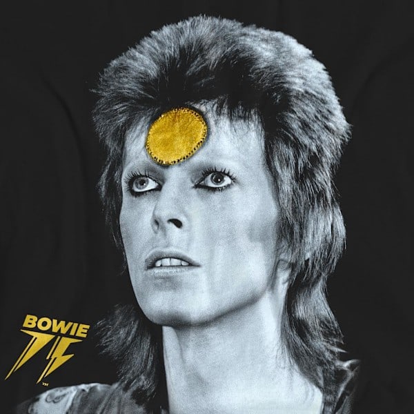 David Bowie Unisex Voksen Golden Bowie T-Shirt S Sort Black S B