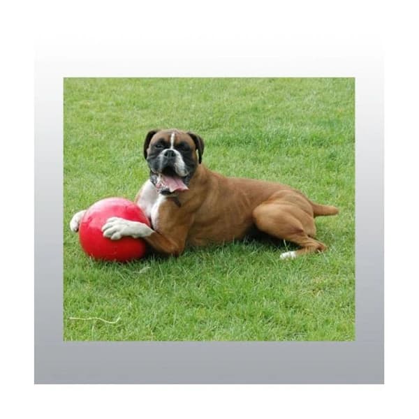 Boomer Ball 25cm[CO]
