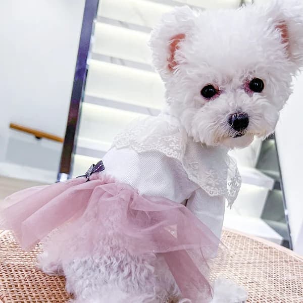 Kjæledyr prinsesse tyllskjørt, hunde- og katteklær (M størrelse)[co]