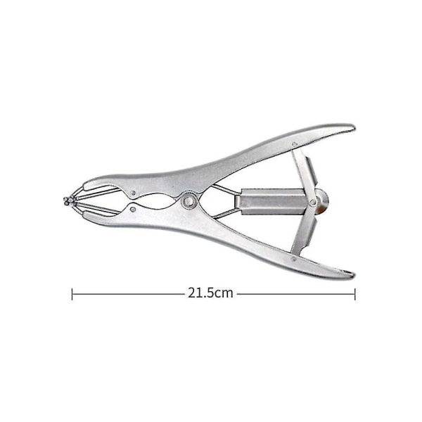 Ruostumattomasta teräksestä valmistettu joustava kastraatiopihdit nautakarjalle, sioille ja lampaille, vyö 100 kumirenkaalla 21,5 cm hopea