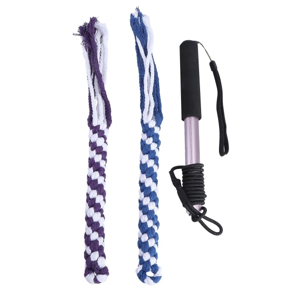 Interaktiiviset koiranlelut Sisäänvedettävä Flirt Pole Hauska metsästys Hännän kiusaaja ja lemmikkieläinten koulutusväline (musta 26 * 3 * 3cm