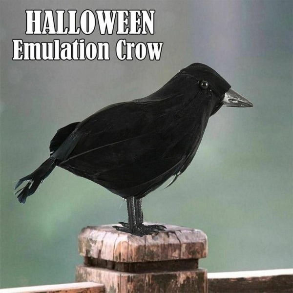 UnderholdningFest & VitserFest & FeiringerHalloweendekorasjon