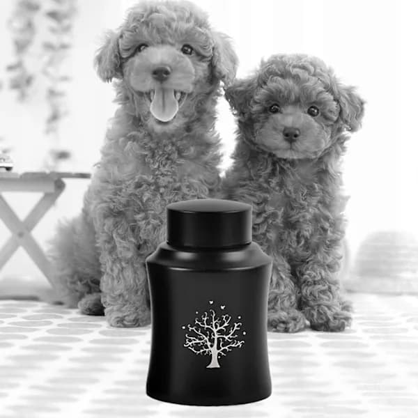 Askeurne til dyr. Askeurne til hunde[CO]