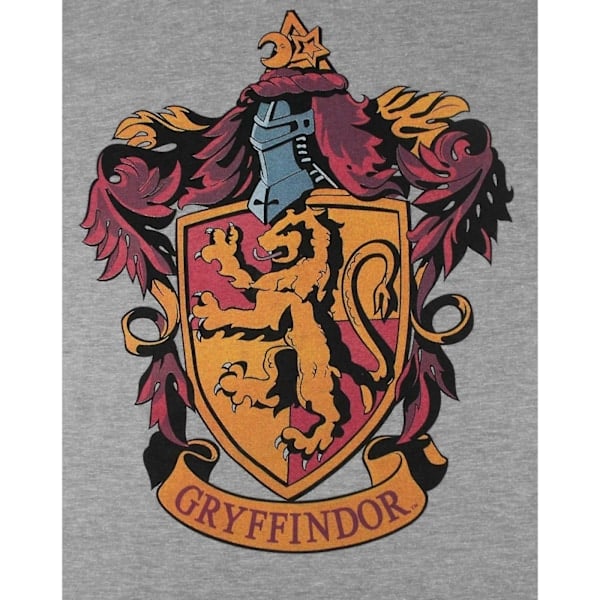 Harry Potter Dam/Kvinnor Gryffindor T-Shirt L Grå Grey L