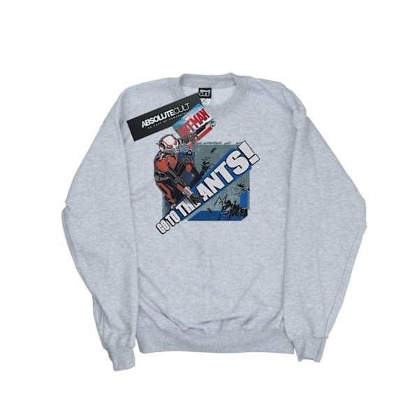 Marvel Piger Ant-Man Go To The Ants Sweatshirt 9-11 År Sport Sportsgrå 9-11 År
