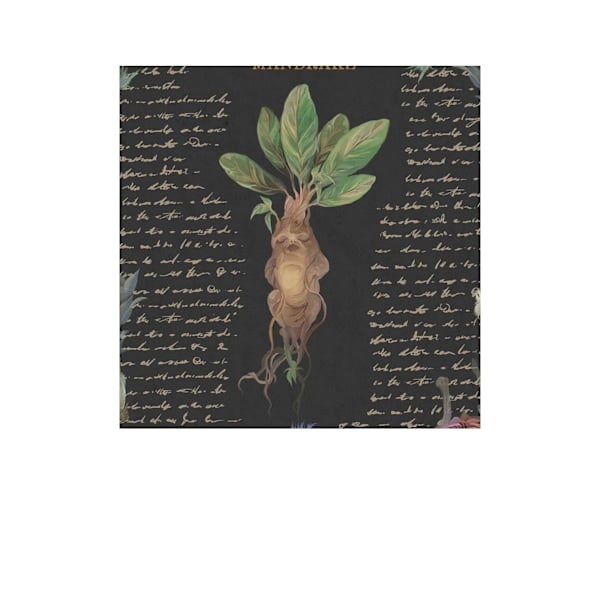 Harry Potter Yume Fantasy -printti 40 cm x 40 cm Svartti Musta 40 cm x 40 cm