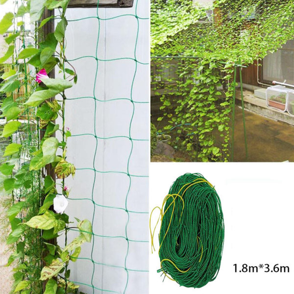 Klätternät med stor mesh för tillväxt av klätterväxter 1,8x3,6m