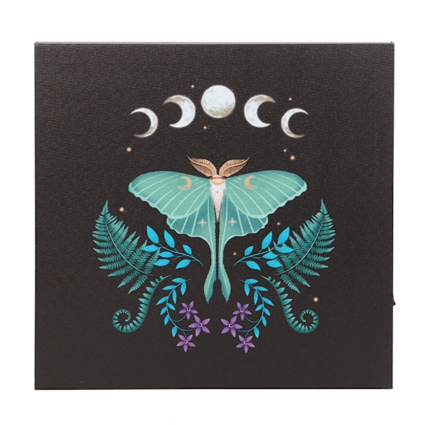 Something Different Canvas Luna Moth Valokangas Yksi Koko Musta/Sininen/Valkoinen Yksi Koko