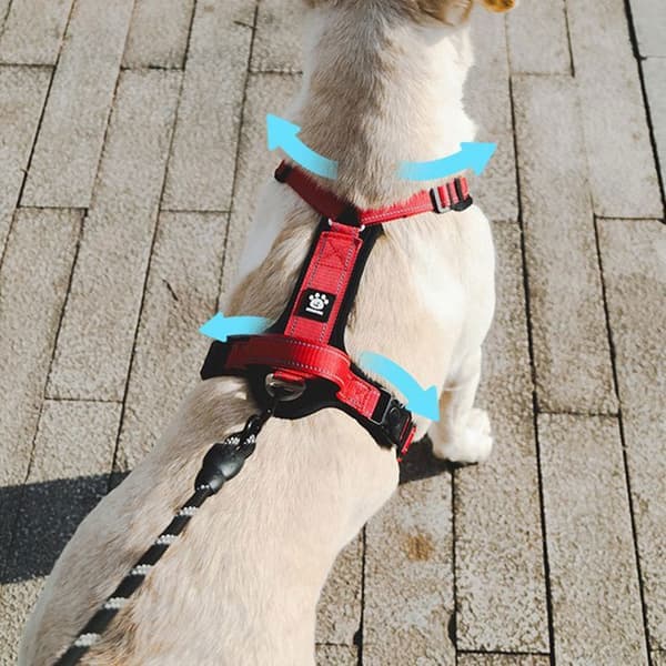 Hundsele och koppel - Andningsbart - Reflexband - Röd - Storlek M - Stor storlek (YJD)