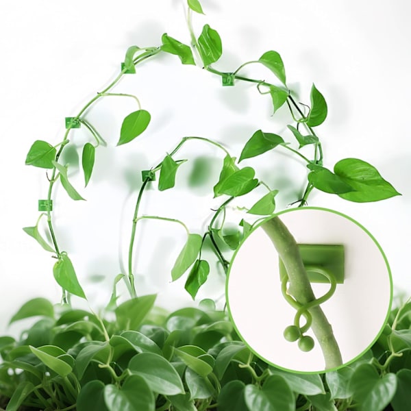Pothos-växtkrukor för hemmabruk - Grön, 100-pack[YJD]
