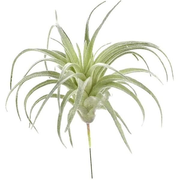 2-pakke Kunstige Sukkulenter Planter Uten Potte Falsk Flokkering Tillandsia Luftplanter Sukkulente Bromeliads Buketter Arrangementer Kunstige Planter DIY F  (YJD)